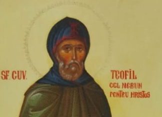 Sfântul Teofil cel nebun pentru Hristos