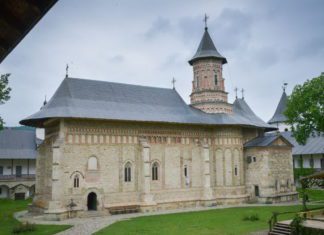 Pustnicul Gherasim cel nebun pentru Hristos