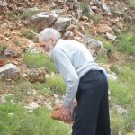 Prostia, Cuviosul şi acoperişul bisericii