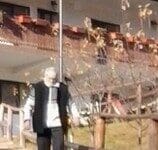 „Da, dragă, dar dânsul e mai ceva!”